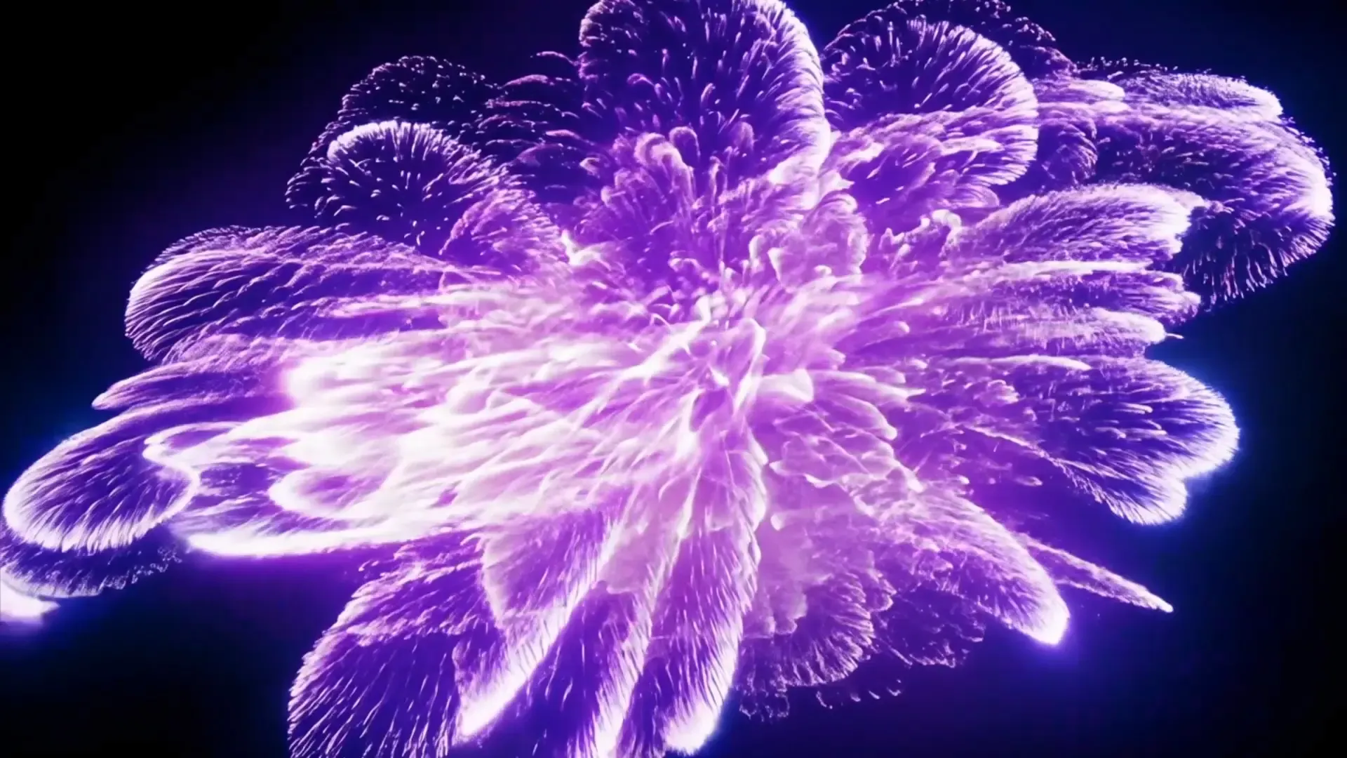 Purple Surge Explosive Transition Video